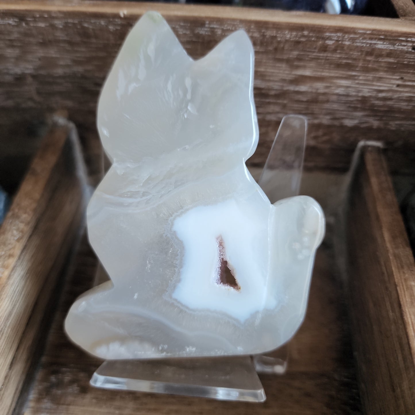 Flower Agate Cat Slab Carvings