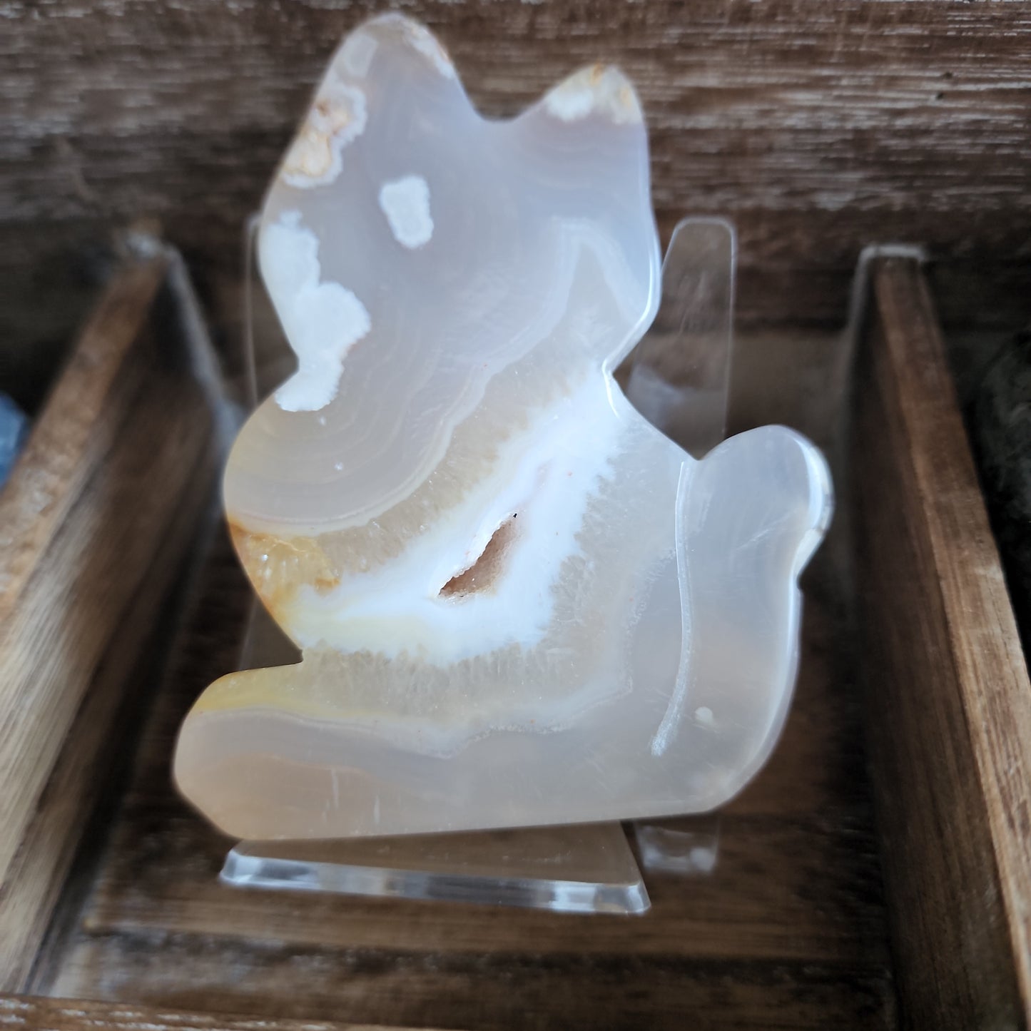 Flower Agate Cat Slab Carvings