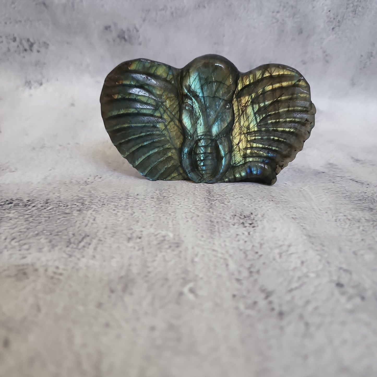 Labradorite Elephant Head B