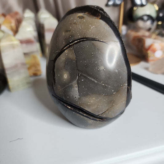 Septarian Egg