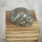 Marcasite Skull