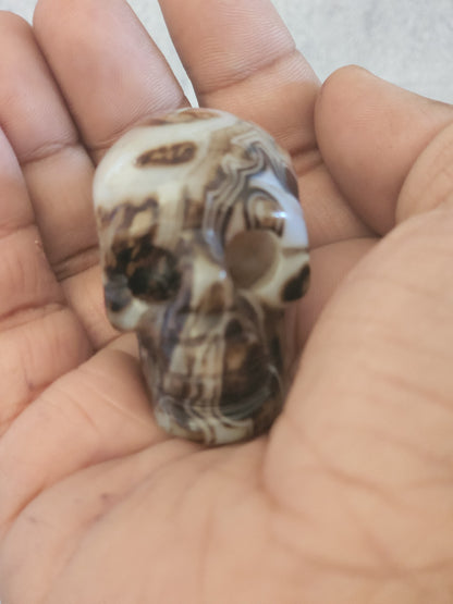 Black Banded Agate Skull