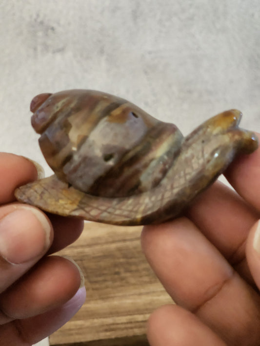 Ocean Jasper Snail Carvings B