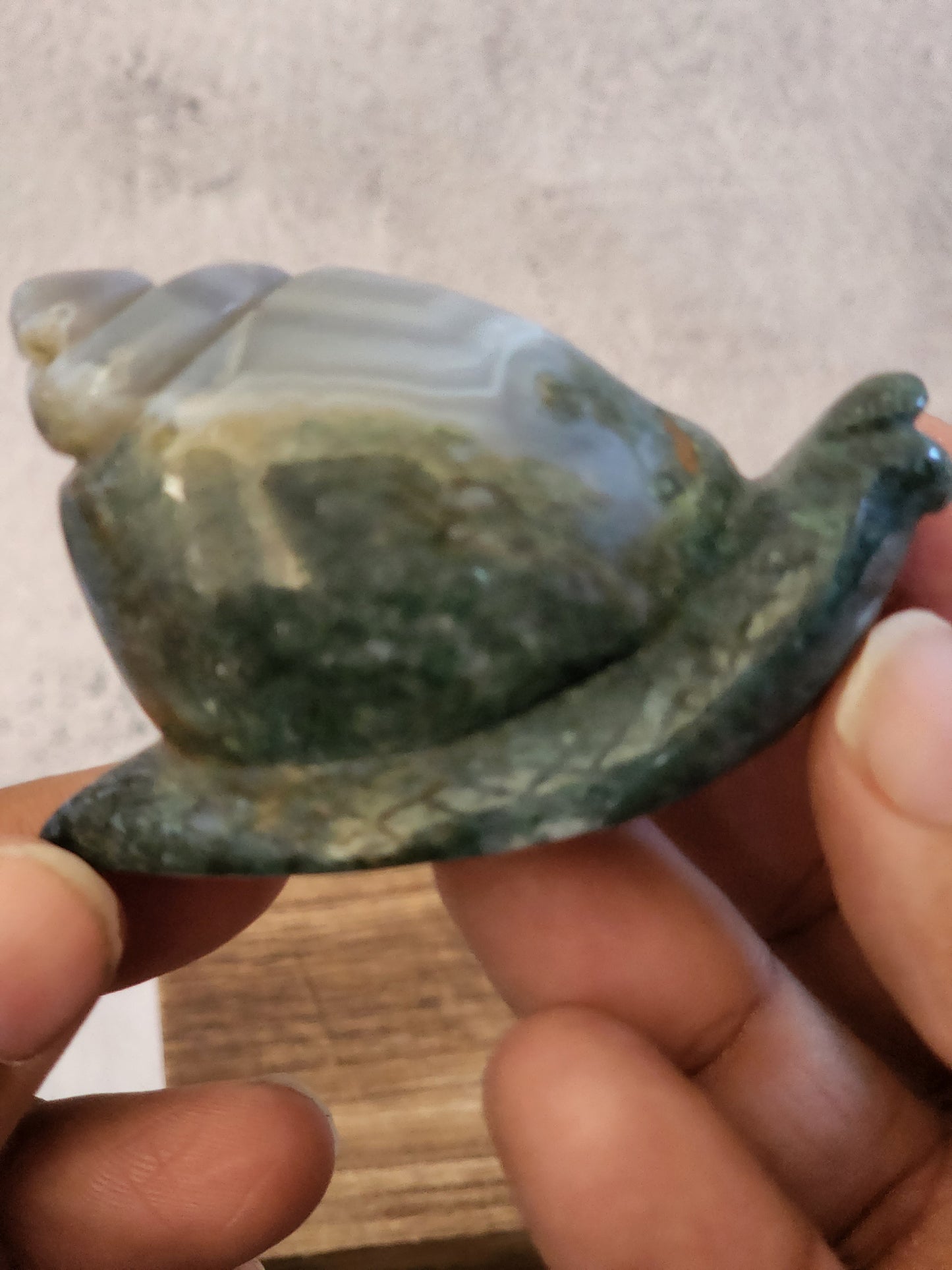 Ocean Jasper Snail Carvings A