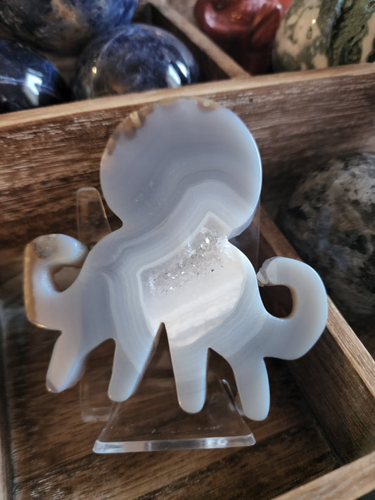 Octopus  Druzy Agate Slab