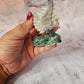 Ocean Jasper Seahorse